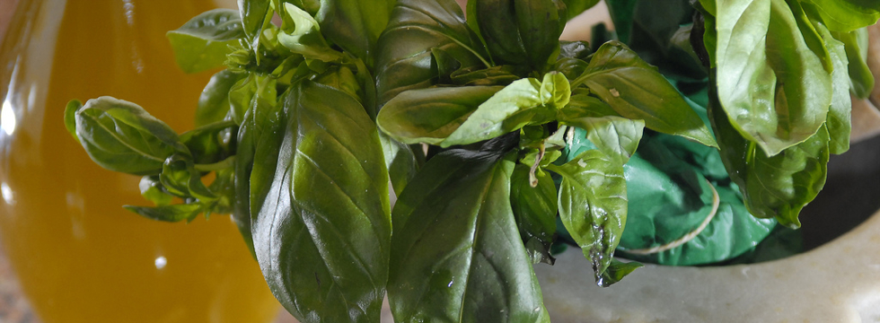 Excursion: The Rivera of Olive Oil