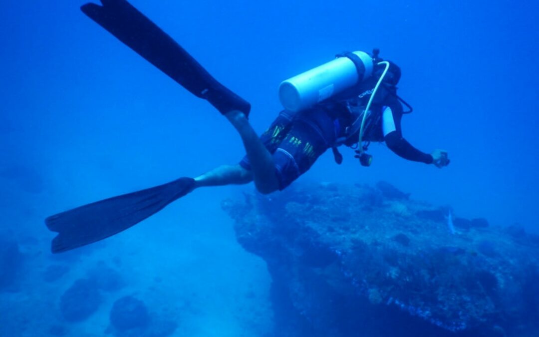 I punti d'immersione più belli della Costa Azzurra